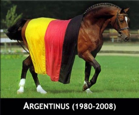 argentinus.jpg